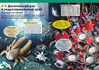 Подводный мир. Большая детская энциклопедия