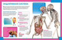 Первая энциклопедия для будущих отличников