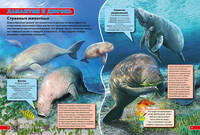 Подводный мир. Современная детская энциклопедия