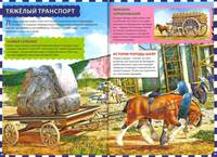 Лошади. Детская энциклопедия