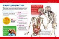 Анатомия человека для детей. Иллюстрированная энциклопедия