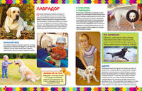 Собаки. Детская энциклопедия
