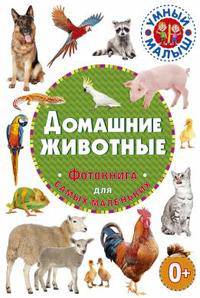 Домашние животные. Фотокнига для самых маленьких