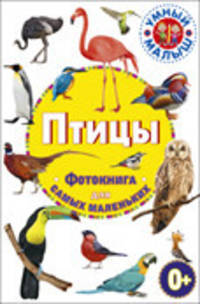 Птицы. Фотокнига для самых маленьких