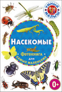 Насекомые. Фотокнига для самых маленьких