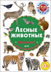 Лесные животные. Фотокнига для самых маленьких