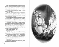 Светлая книга. Ученик паладина