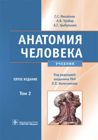 Анатомия человека. Том 2