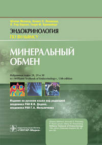 Минеральный обмен