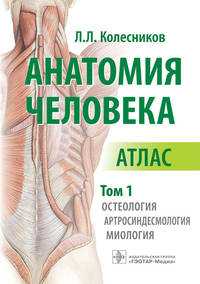 Анатомия человека. Том 1. Остеология, артросиндесмология, миология. Атлас