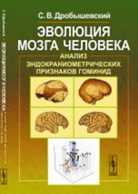Эволюция мозга человека. Анализ эндокраниометрических признаков гоминид