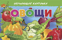 Овощи. Обучающие карточки