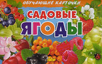 Садовые ягоды. Обучающие карточки