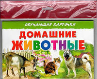 Домашние животные