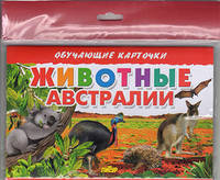 Животные Австралии