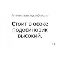 Звукварь. Том 2: 500 карточек для автоматизации звуков в словосочетаниях, фразах и стихах. ФГОС