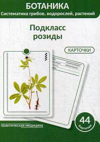 Ботаника. Систематика грибов, водорослей, растений. Блок 3: Подкласс розиды. 44 гербарные карточки