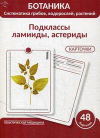 Ботаника. Систематика грибов, водорослей, растений. Блок 4: Подклассы ламииды, астериды. 48 герберных карточки