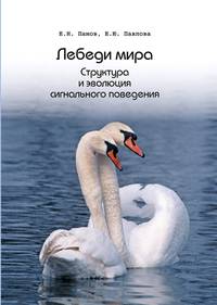 Лебеди мира. Структура и эволюция сигнального поведения