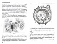 Коррекция нарушений письма. Методическое пособие. ФГОС ДО