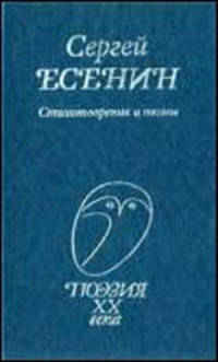 Стихотворения и поэмы - (Поэзия ХХ века)