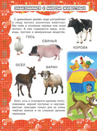 Животные