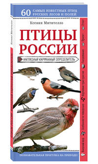Птицы России. Наглядный карманный определитель