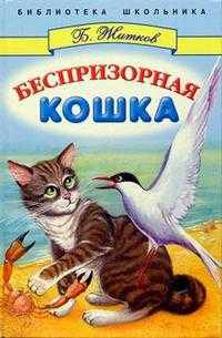 Беспризорная кошка