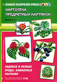 Картотека предметных картинок. Выпуск №6. Садовые и лесные ягоды. Комнатные растения