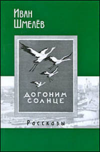 Догоним солнце. Рассказы