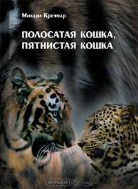 Полосатая кошка, пятнистая кошка