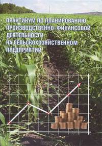 Практикум по планированию производственно-финансовой деятельности на сельскохозяйственном предприятии. Учебное пособие. Гриф Министерства сельского хозяйства