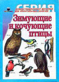 Зимующие и кочующие птицы
