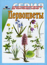 Первоцветы. Демонстрационный материал для фронтальных занятий