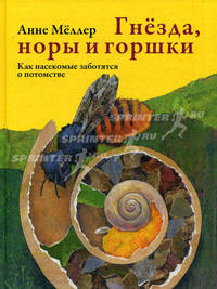 Гнезда, норы и горшки: как насекомые заботятся о потомстве. Меллер А.