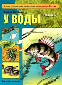 У воды и под водой