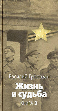 Жизнь и судьба. Книга 3 - (Великая отечественная)