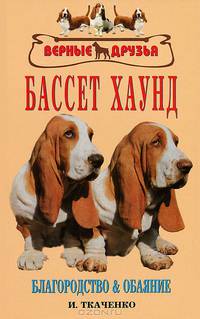 Бассет хаунд. Благородство и обаяние