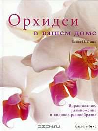 Орхидеи в вашем доме