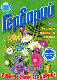 Гербарий: Лесные цветы и травы