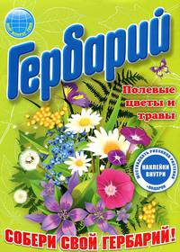Гербарий: Полевые цветы и травы