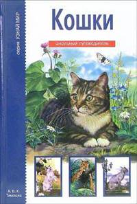 Кошки: Школьный путеводитель