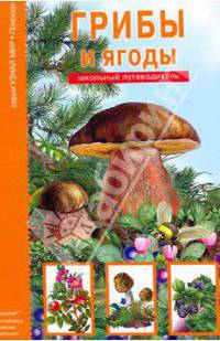 Грибы и ягоды: Школьный путеводитель.