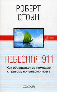 Небесная 911. Как обращаться за помощью к правому полушарию мозга