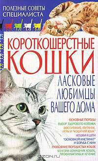 КдВС(обл).Короткошерстные кошки.Ласковые любимцы вашего дома