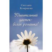 Удивительный цветок - белая ромашка!