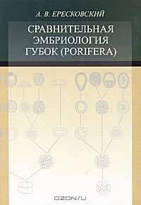 Сравнительная эмбриология губок - (Porifera)