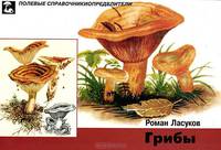 Грибы. Карманный определитель - 2 изд.