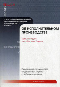 Комментарий к Федеральному закону от 2 октября 2007 г. № 229-ФЗ "Об исполнительном производстве" (постатейный)