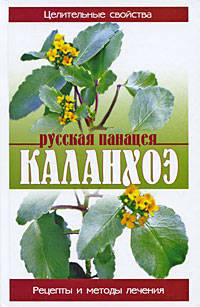 Каланхоэ. Русская панацея.
